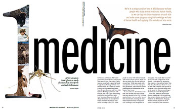 One Medicine Article